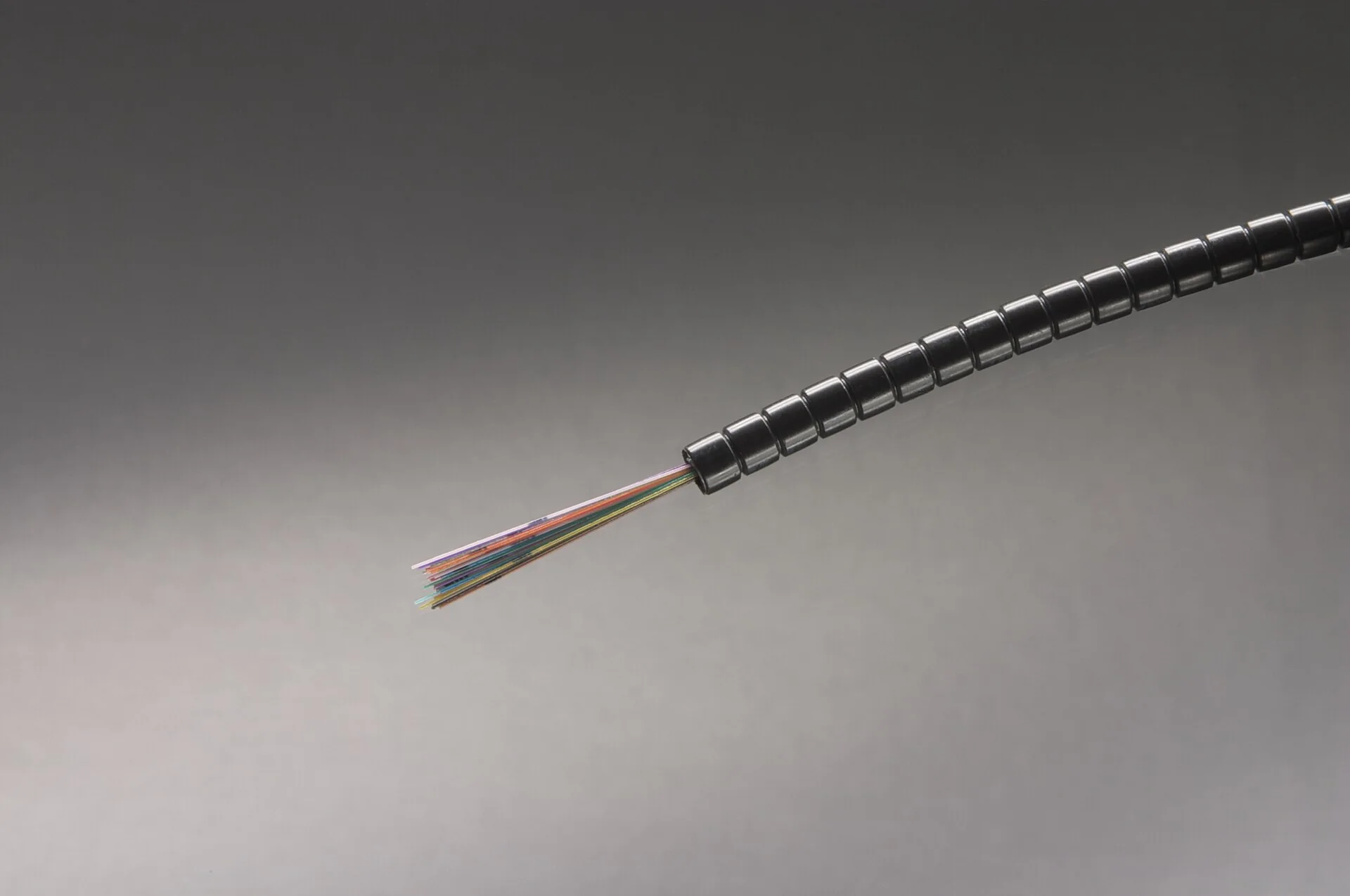 Extrémité d’un câble optique noir montrant plusieurs fibres colorées