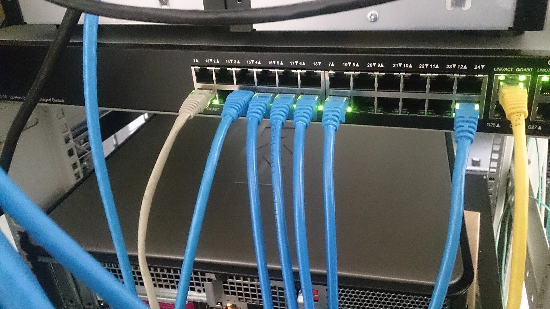 Cordons Ethernet bleus connectés aux ports d’un commutateur réseau